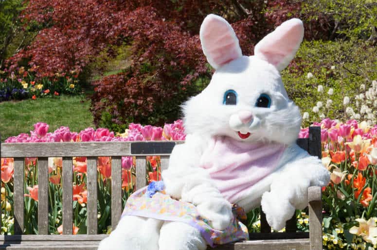 Booking a Kids Party Character Birthday Party